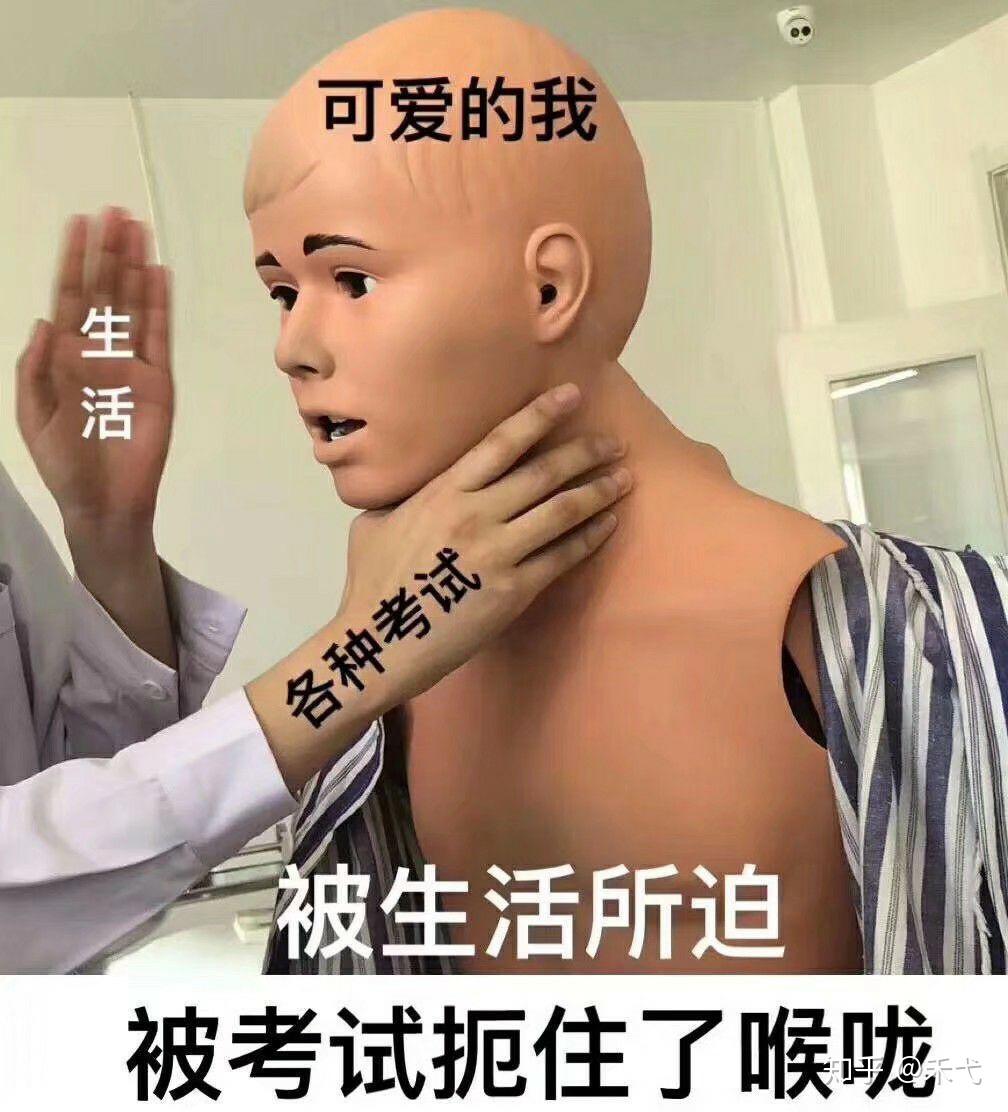 医学生的考试月周是怎样的一种体验