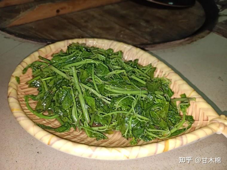 这3种嫩尖，是野菜界的天花板，遇见了不要错过 - 知乎