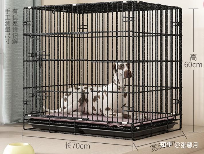 别再乱选狗笼,这些需注意(附2025狗笼各品牌推荐,狗笼怎么样?怎么选看这里) - 知乎