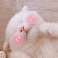 Zhihu profile picture for @idol