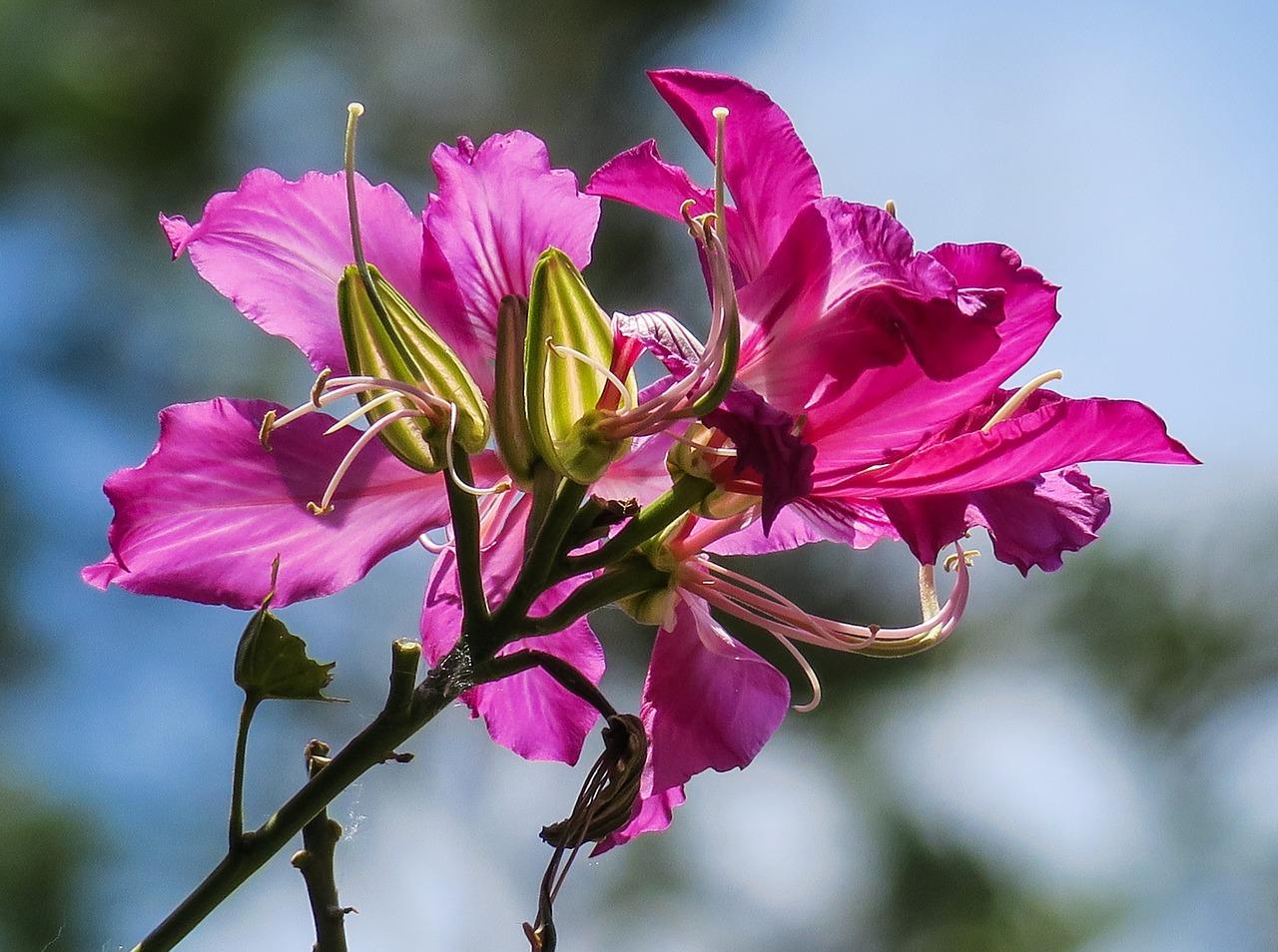 4. 北京金宝园址