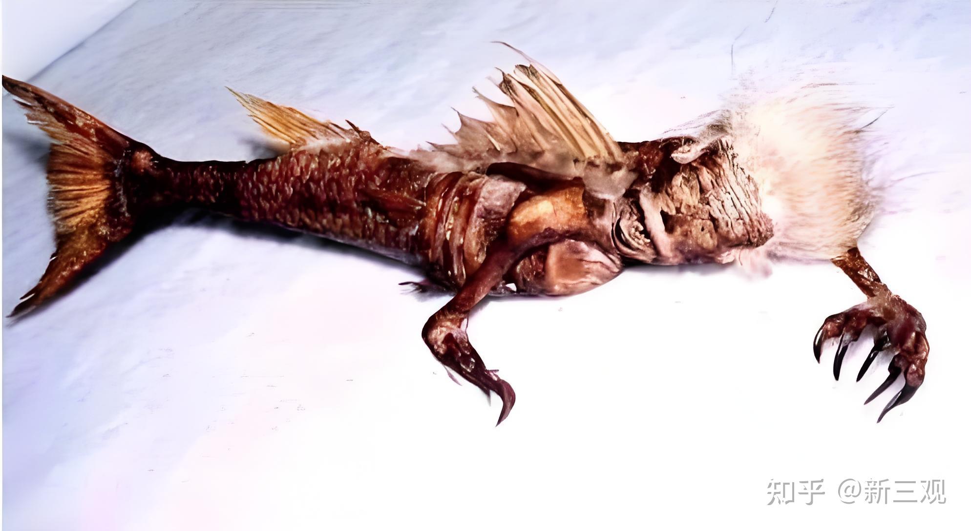 世界上有没有可能有美人鱼,海底人类的可能性有多大?