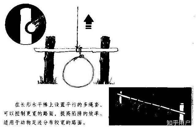 野外生存时如何制作陷阱机关之类的捕猎小动物有没有有关制作陷阱机关