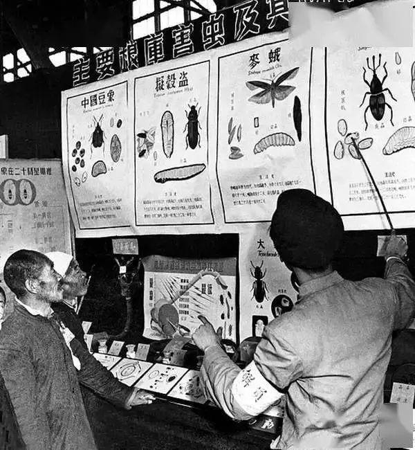 影像记录：上个世纪50年代百姓的生活 - 知乎