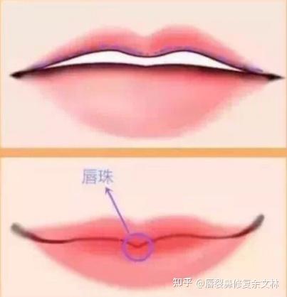 唇珠之美,在于对称饱满! - 知乎