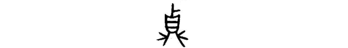 23.“真”字中间为什么是三横？其金文什么样子？如何简化可以秒记？ - 知乎