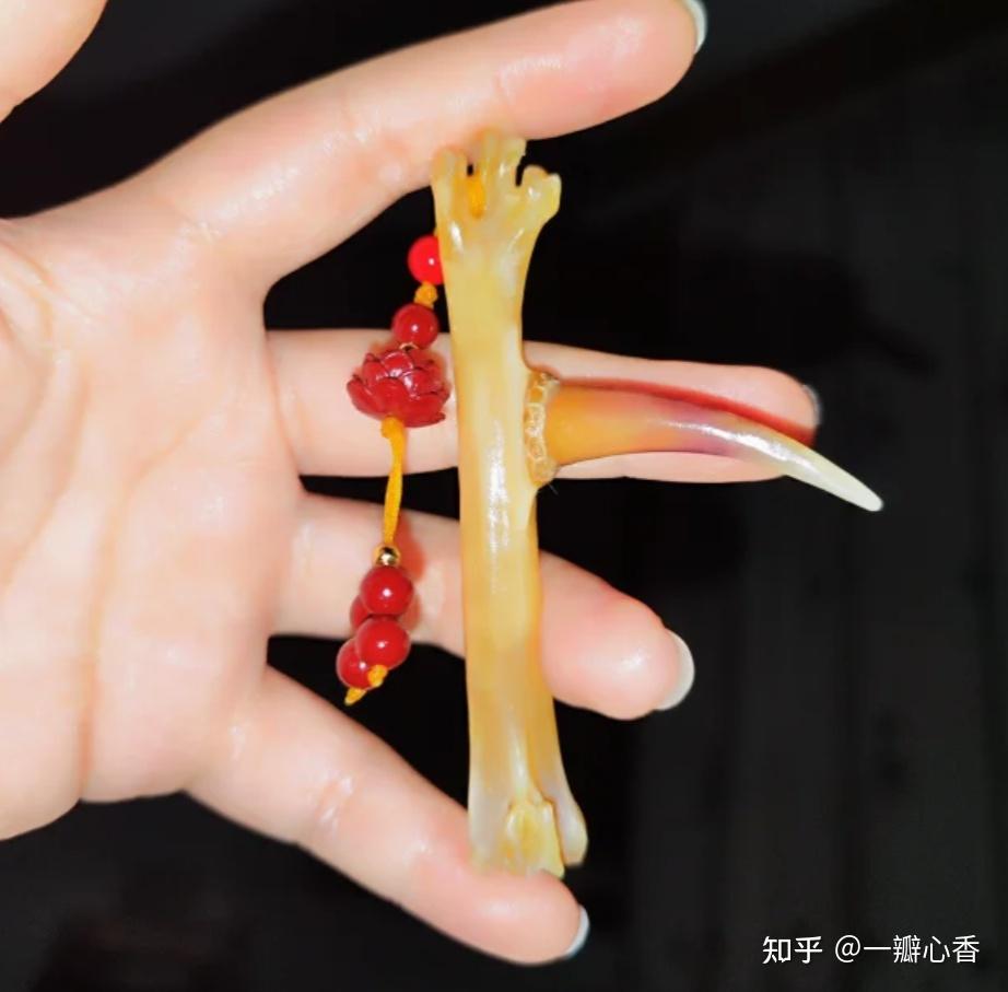 请问这样的鸡爪骨手把件是如何形成的?