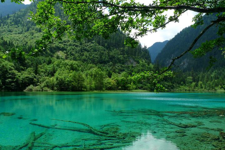 2023年五一出游-九寨沟旅游攻略/费用/景点+避坑指南！！保姆级推荐必看！！！ - 知乎