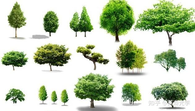高光谱成像系统:深度学习机载高光谱影像树种分类研究 - 知乎