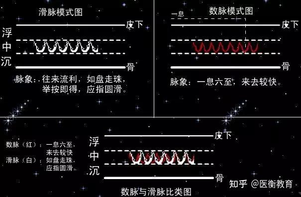 脉诊竟如此神奇！！跟着中医学脉诊（附动画图） - 知乎