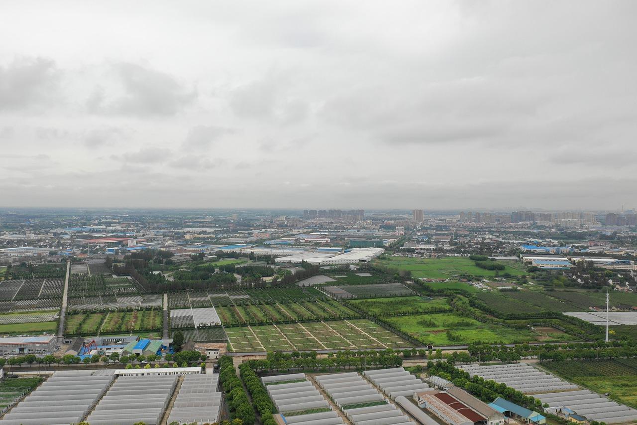 编制与福利关联