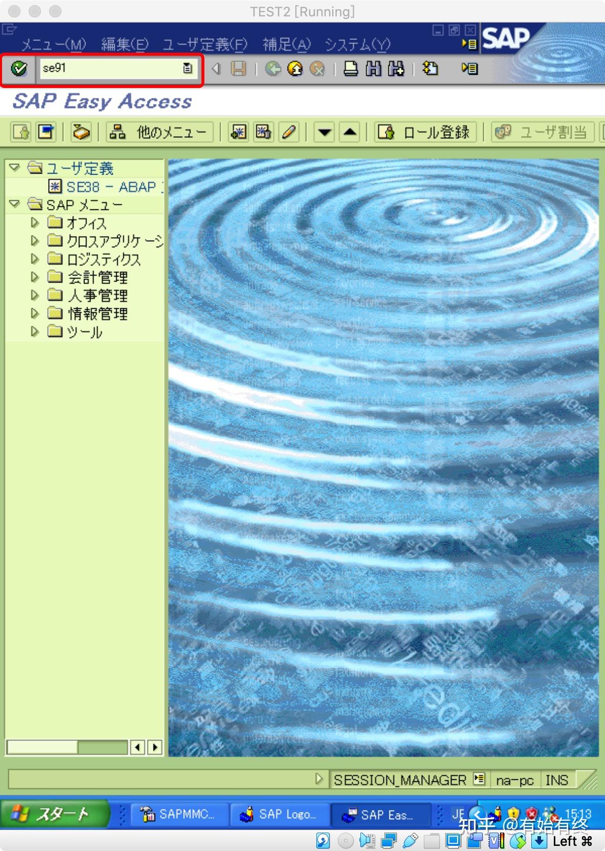 SAP ABAP 20（中日版）MESSAGE SE91 - 知乎