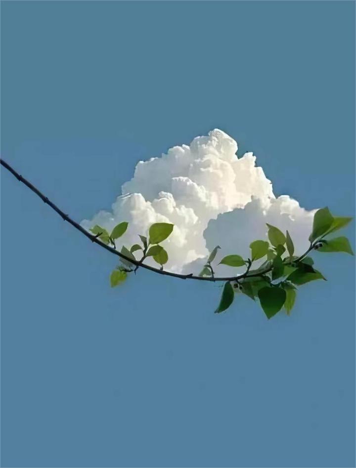 euler-s-totient-function