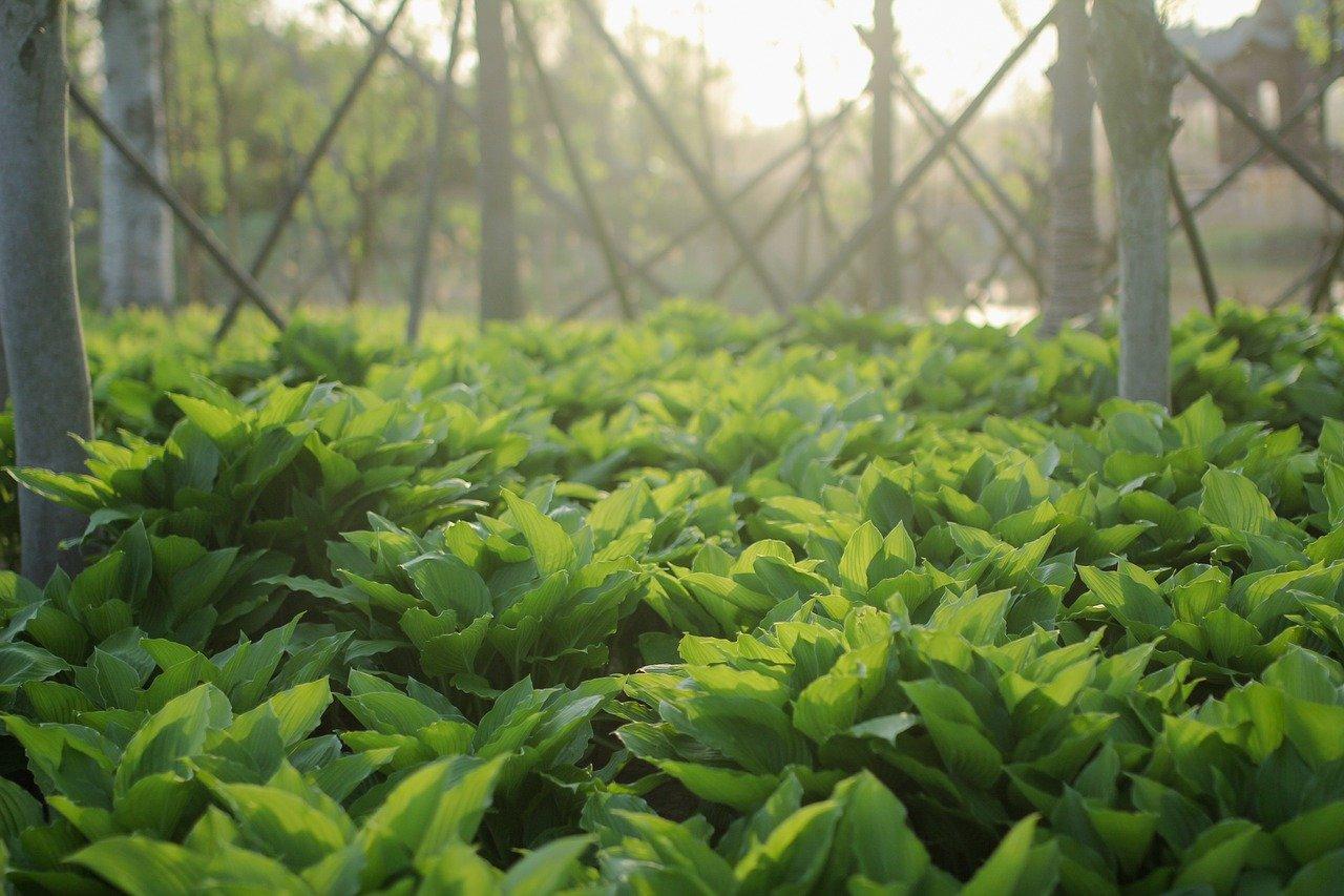 探索自然，收获知识与快乐