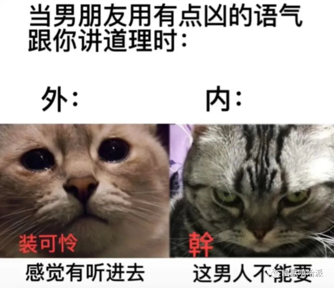 有哪些非常搞笑的笑话,分享一下? - 知乎