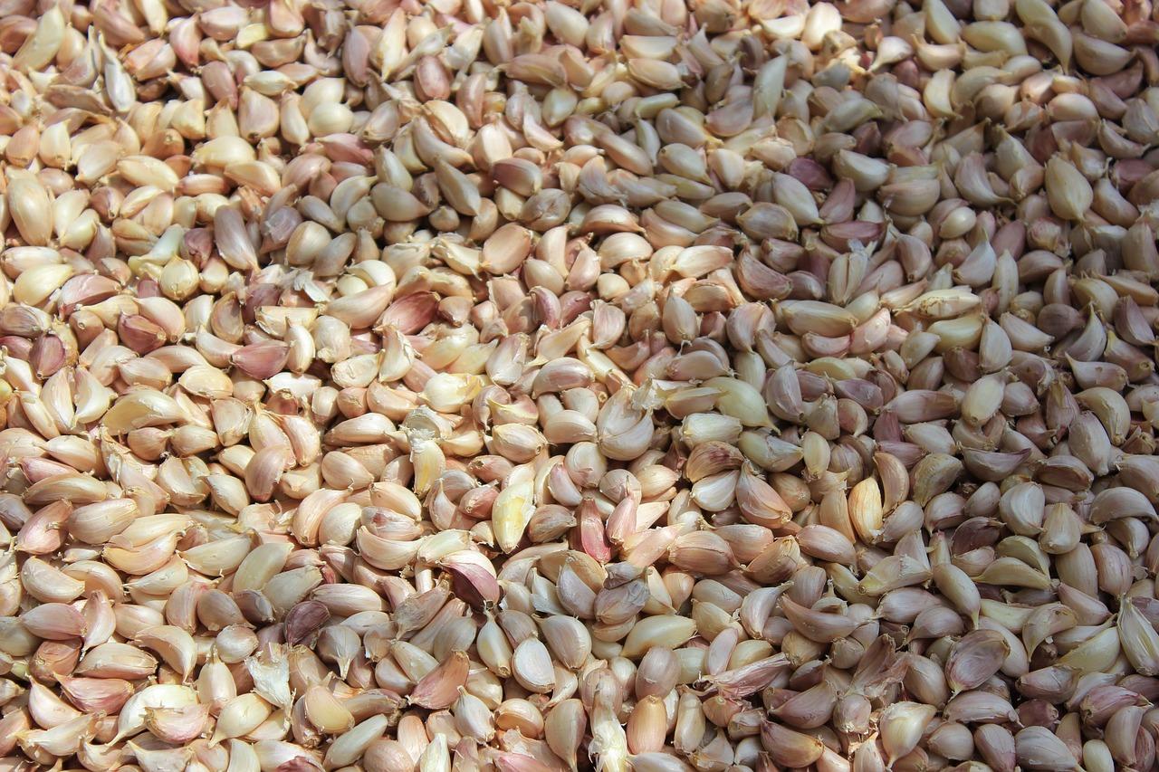 4. 播种与覆膜管理