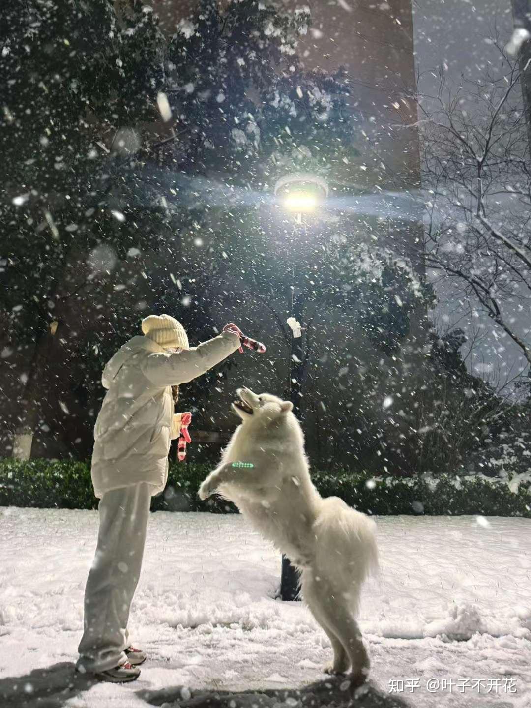 嫁给一个经济条件不太好的老公 你后悔了吗？