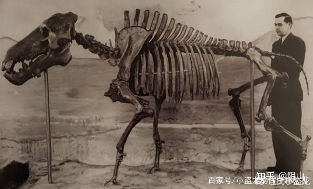 资料 | 人类之前统治地球的生物 - 知乎