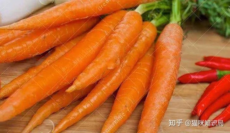 猫和狗能交配吗? - 知乎
