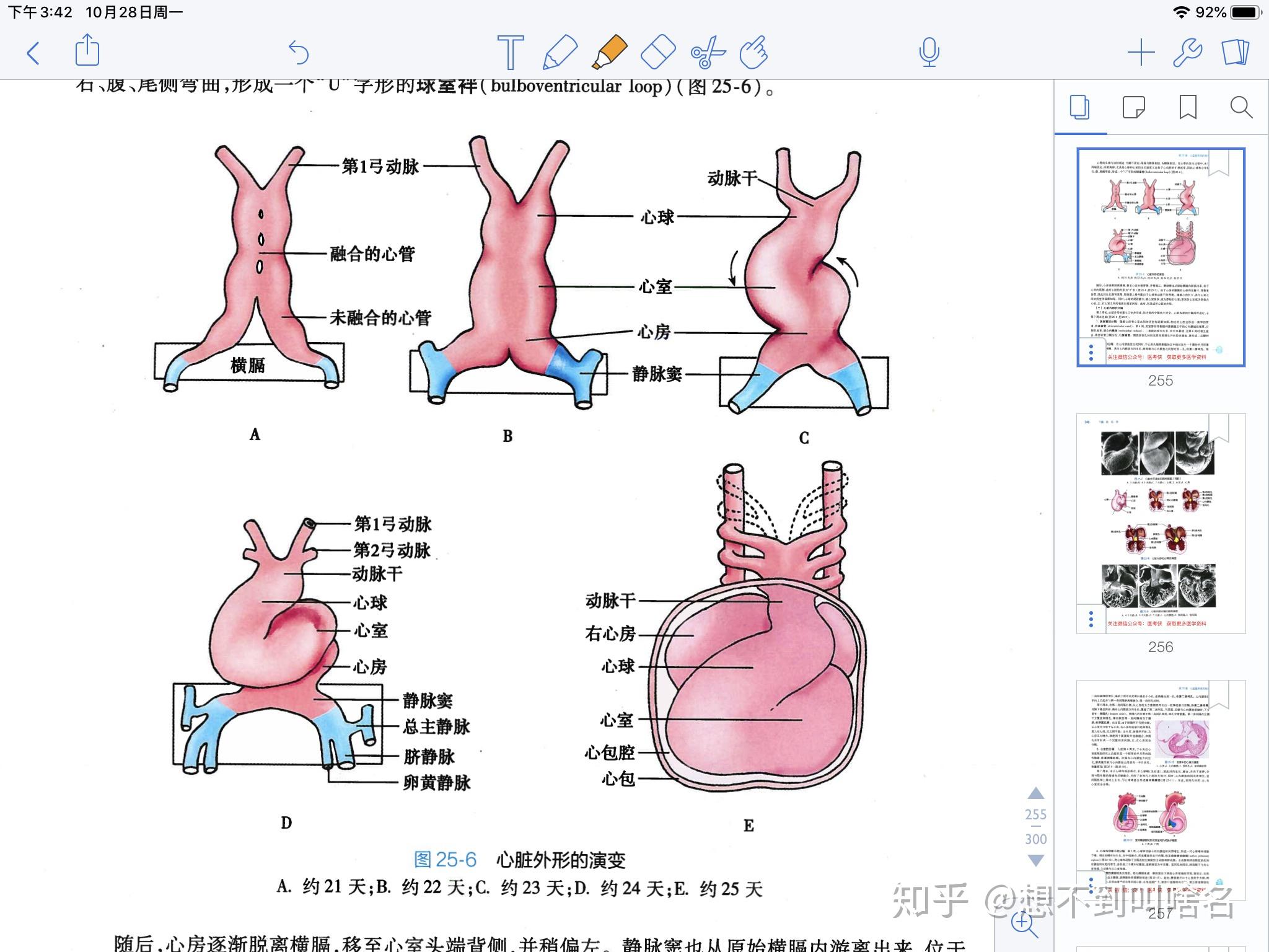 图7-3 左、右心房的关系-心脏外科基础图解-医学