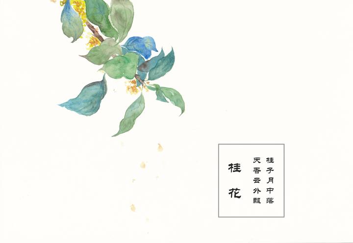 自是花中第一流（59集）
