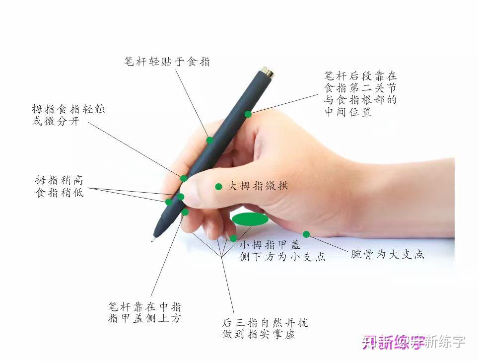 写硬笔字时,手腕支撑是指手腕压死固定住,还是手腕轻触? 