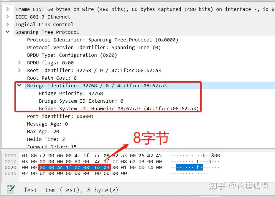 Header Stpc STP报文格式 - 知乎
