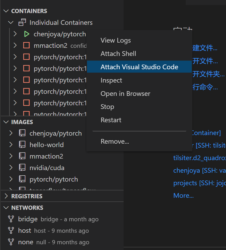 Visual Studio Code Remote Ssh Docker Container