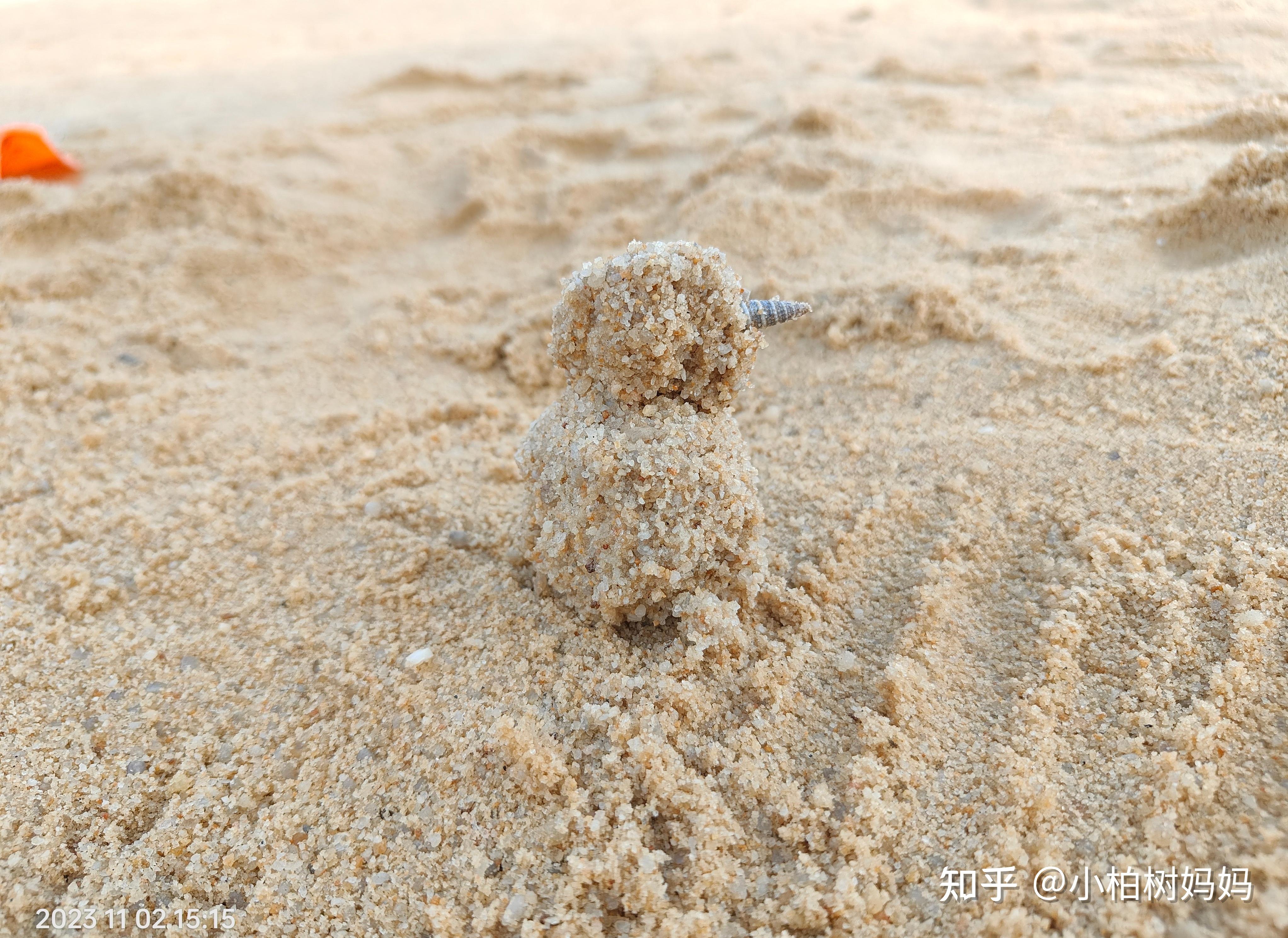 每个小朋友在大海边,都可以捡到漂亮的贝壳吗?