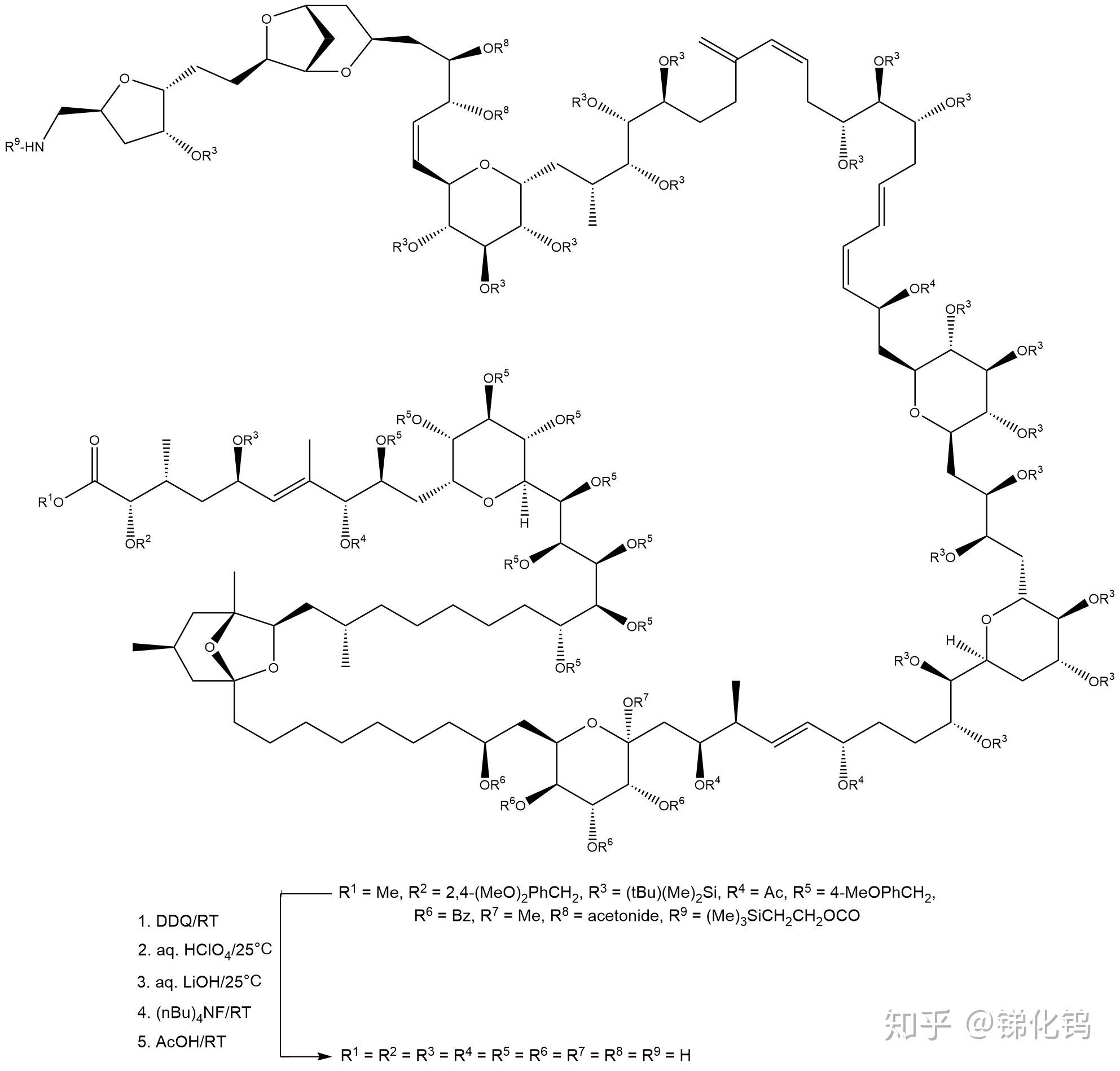 求岩沙海葵毒素的全合成路线