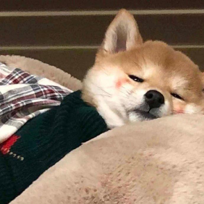 有哪些让女生一眼就心动的微信男头像