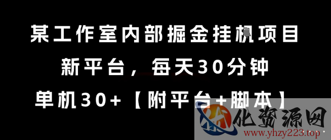 某工作室内部掘金挂G项目，新平台，每天30分钟，单机30+【揭秘】