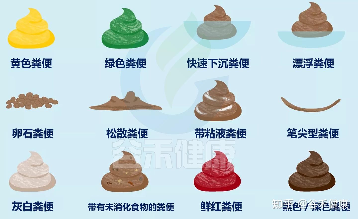先别冲！原来你是这样的——“便便” - 知乎
