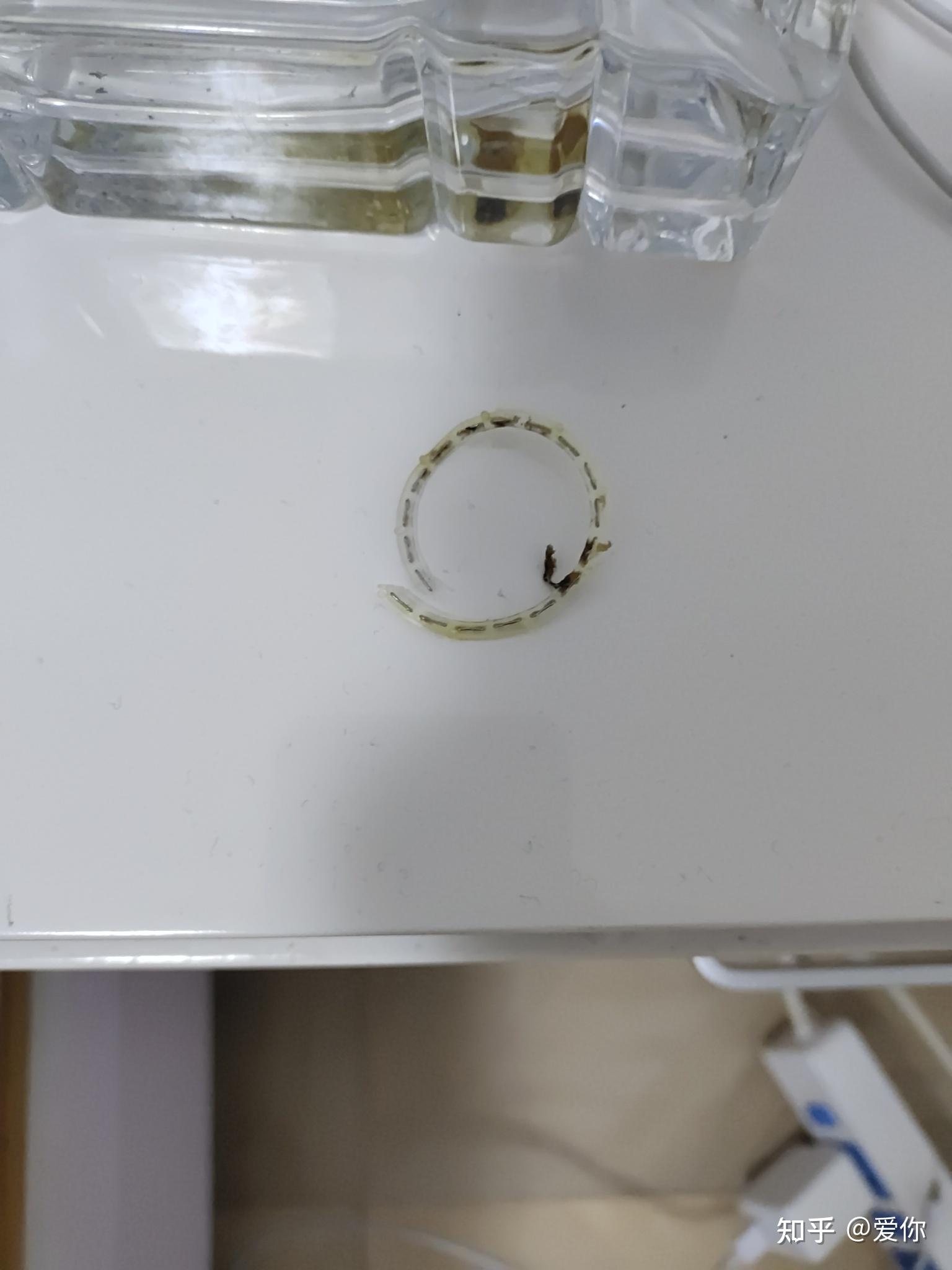 环切包皮手术大家的钛钉都是多久掉了啊,大家用盐水泡了吗?