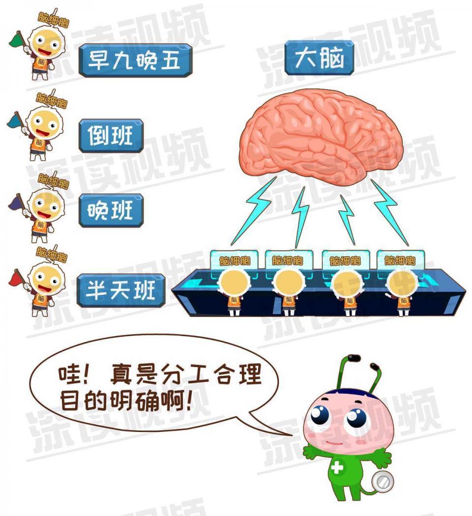 什么是神经衰弱? - 知乎