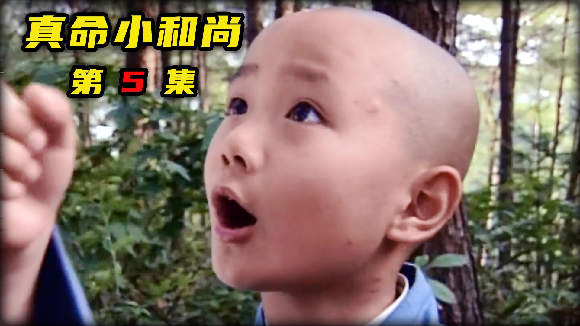 小和尚化解难题铁桶师叔遇到世纪难题