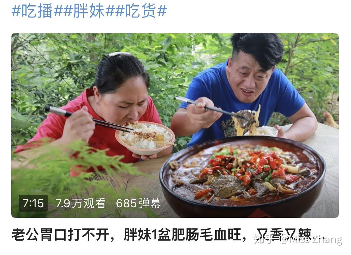 陈说美食胖妹收入图片