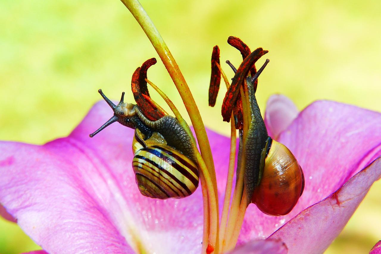 无锡百合学区房攻略