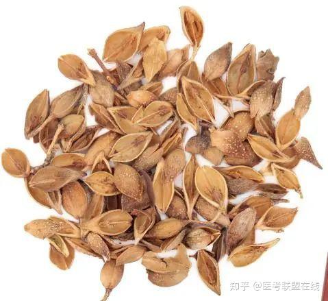 连花清瘟到底是“连”还是“莲”?“连花”又是什么花? - 知乎
