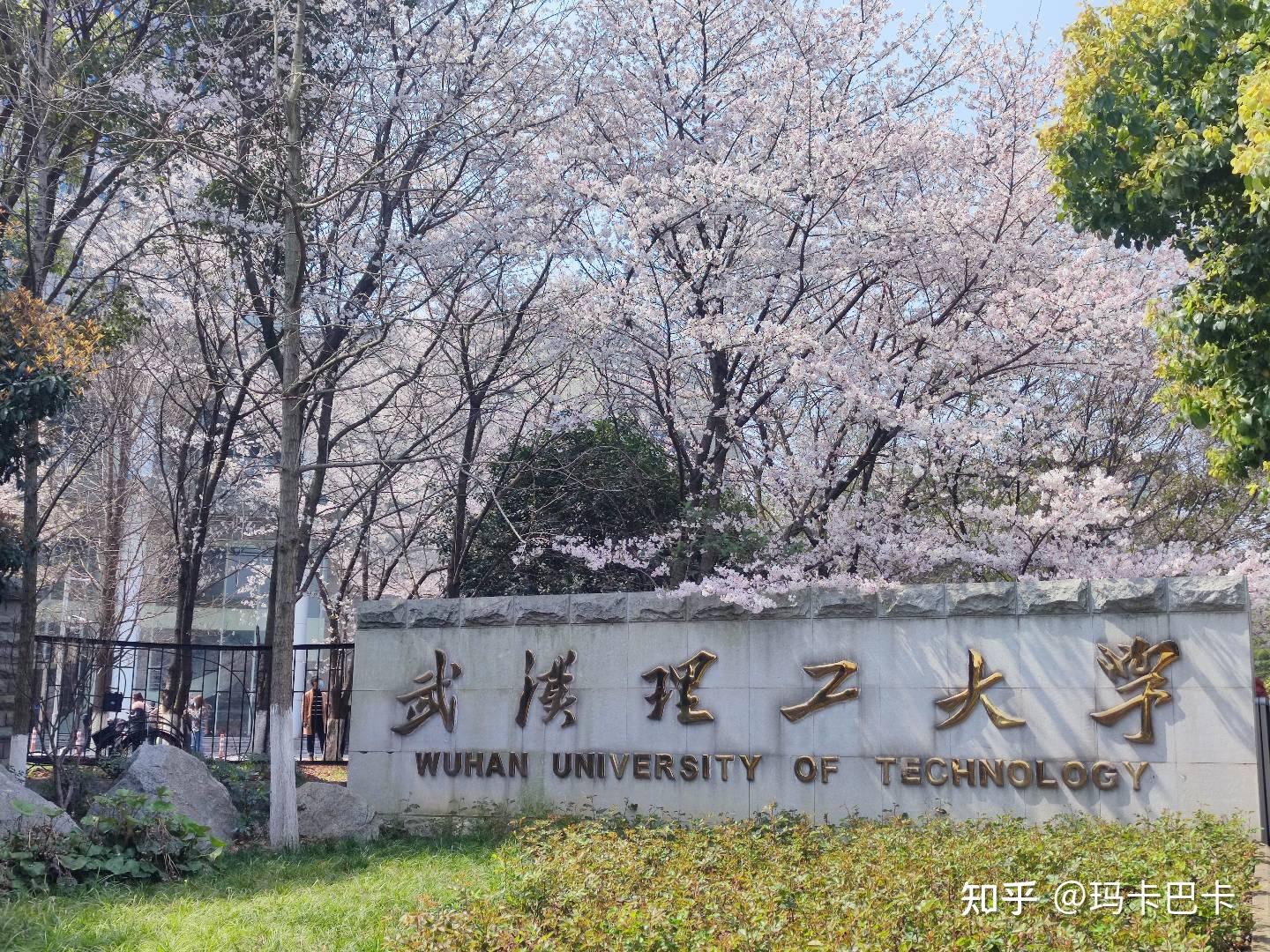 武汉理工大学研究生院图片