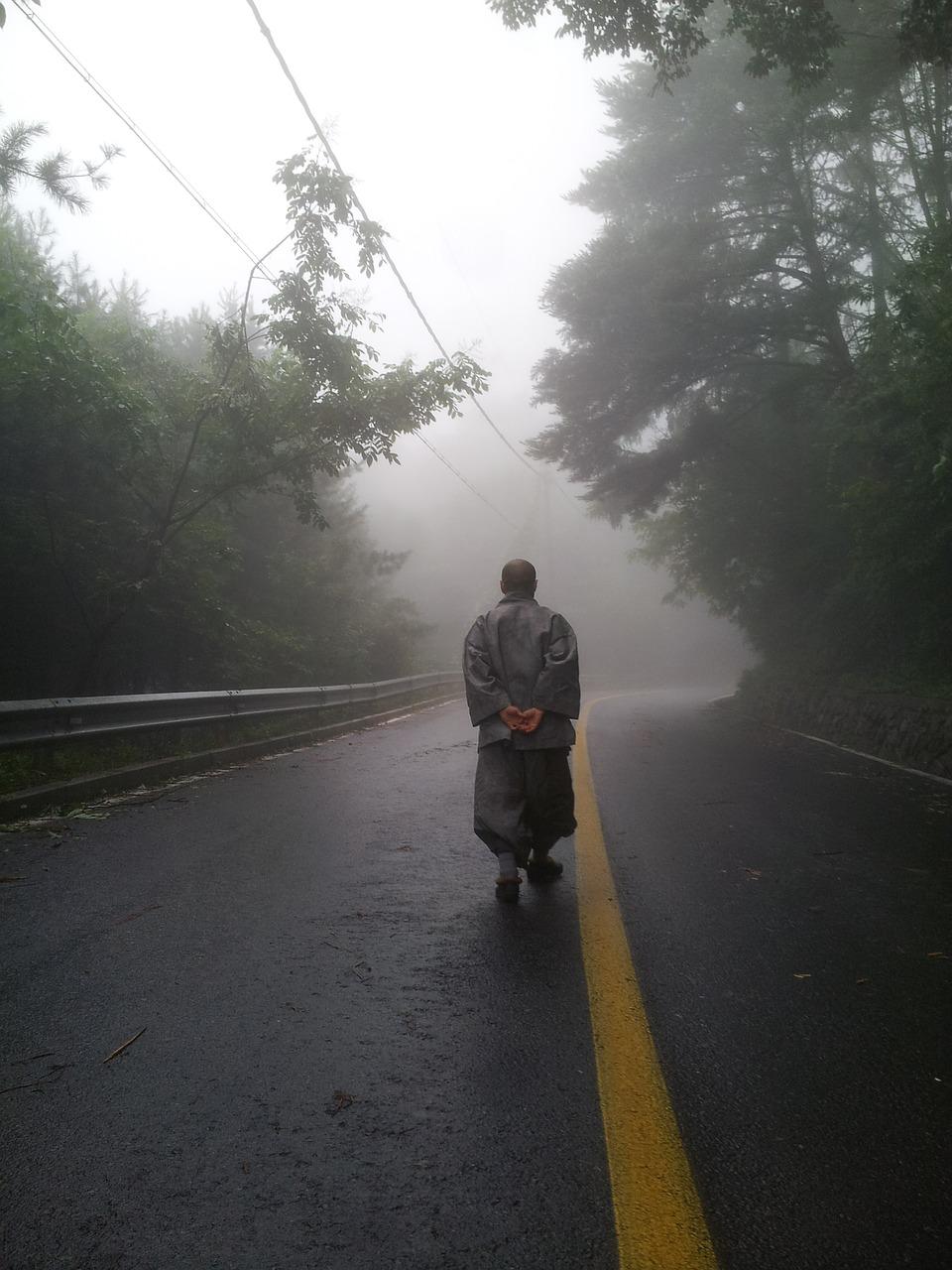 4. 市场趋势分析