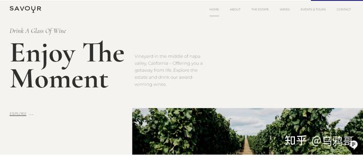 有哪些好看的极简的WordPress主题?插图41 有哪些好看的极简的WordPress主题?插图41