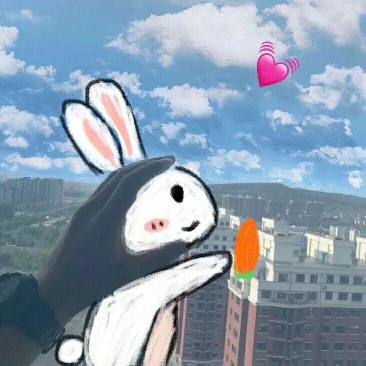 有没有打眼望去就很舒服很惊艳的微信头像