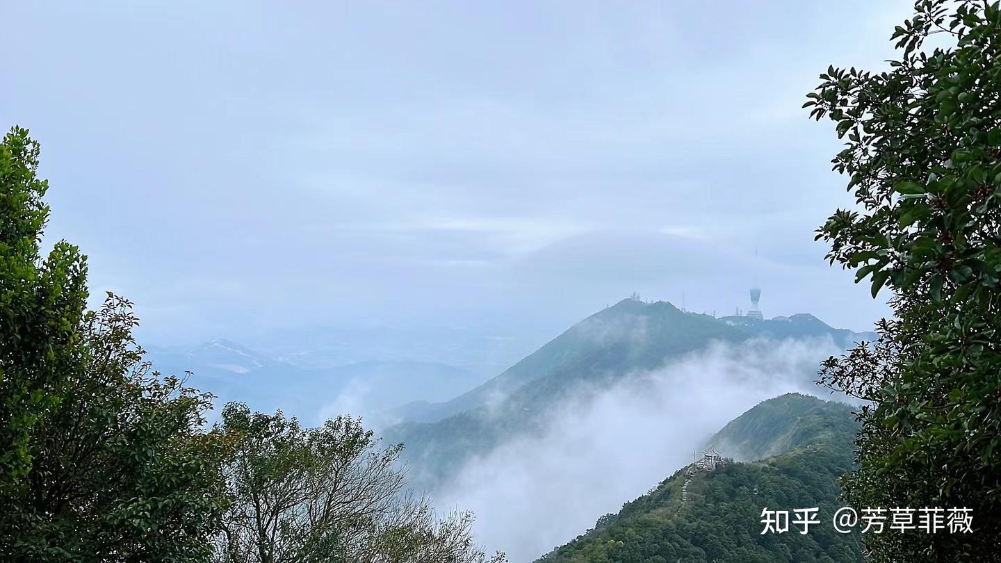 2025周末深圳好去处,深圳绿道徒步(持续更新中~) - 知乎