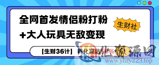 【生财36计】全网首发情侣粉打粉+大人玩具无敌变现