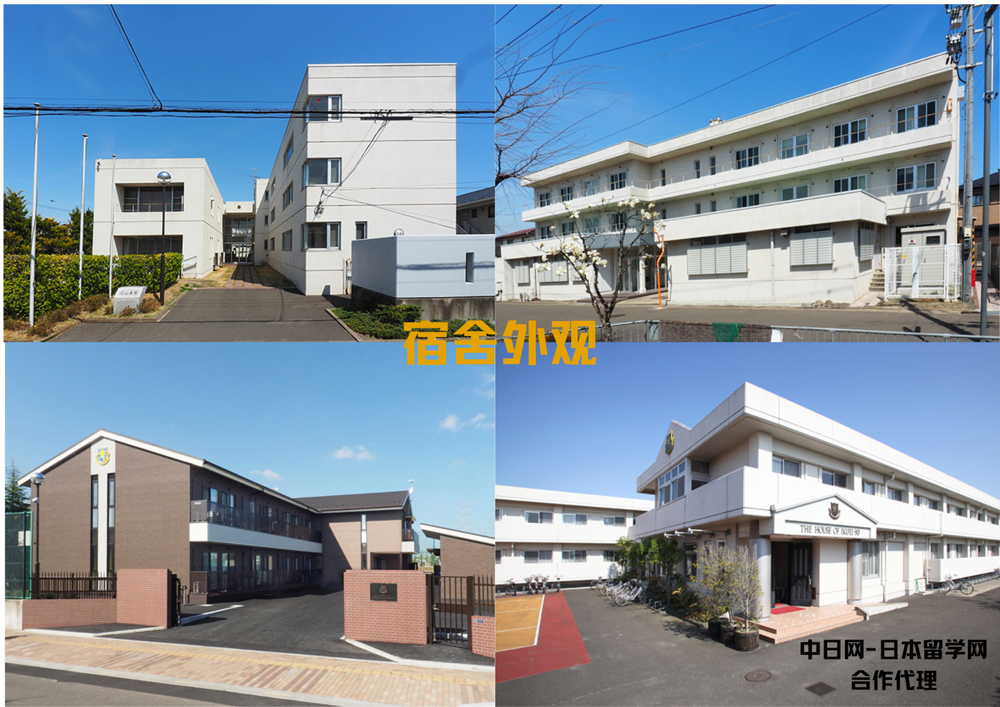 请输入图片描述