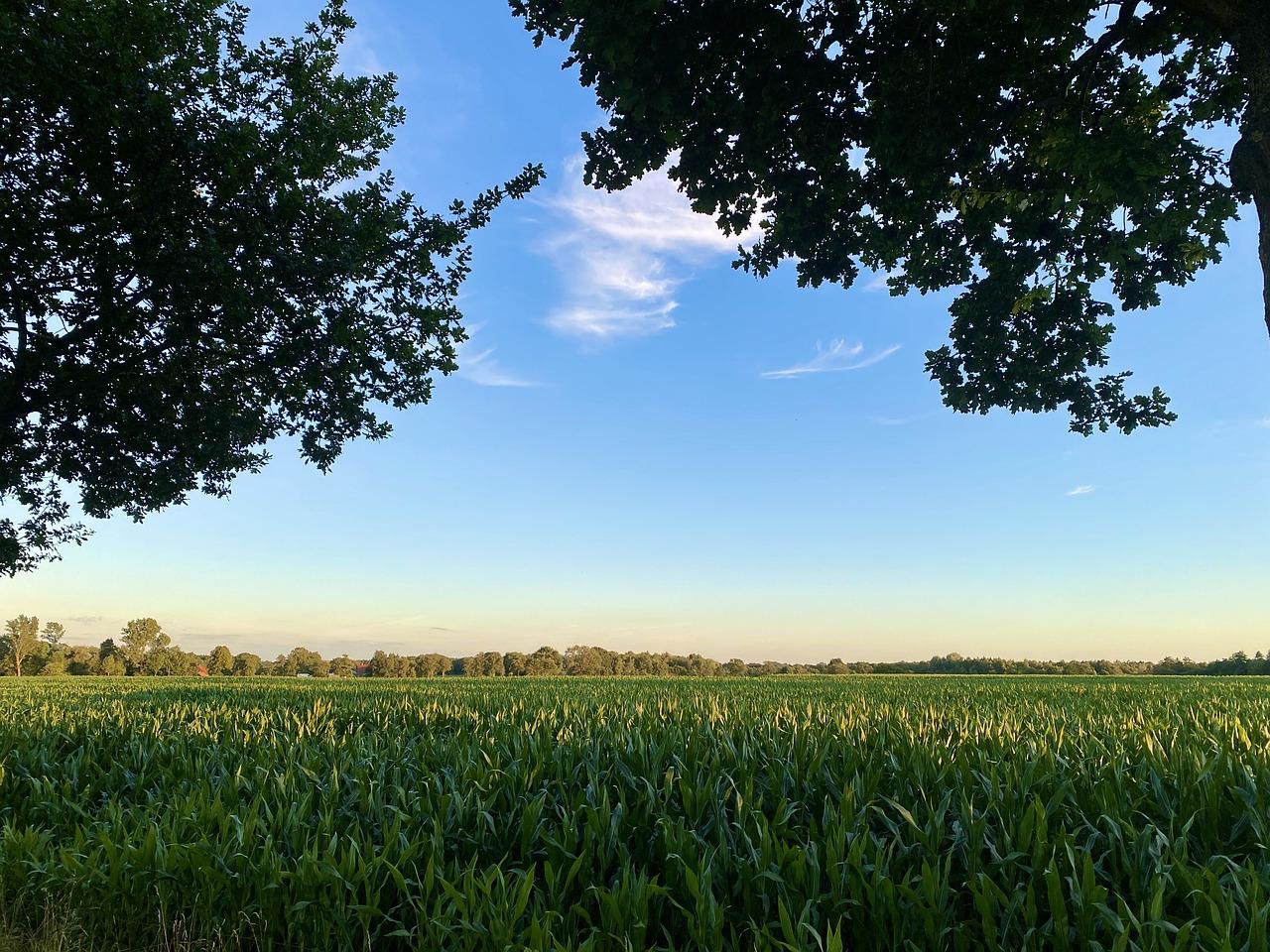 5. 生态宜居典范