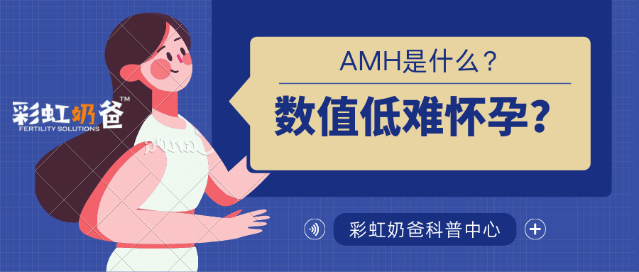 AHM是什么？数值偏低很难怀孕？多少是正常？｜彩虹奶爸 - 知乎
