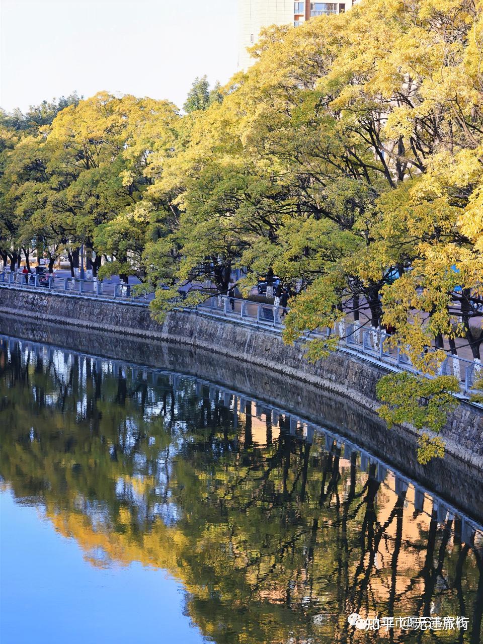 昆明滇朴:冬日美景,大观河独好!(纪实攻略) - 知乎