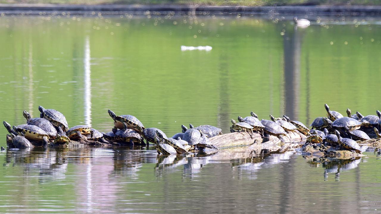 珠海冬季气候特点